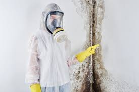 Mold Remediation for Vacation Homes in Clinton, IN